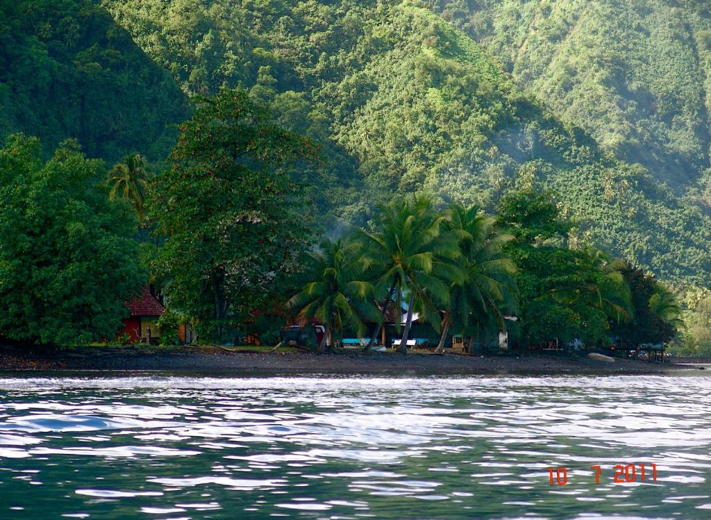 Tauhanihani Village Lodge La Vague Bleue Teahupoo Esterno foto